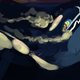Illustration for article titled The Internet Reacts To The New emPokémon/em Remakes